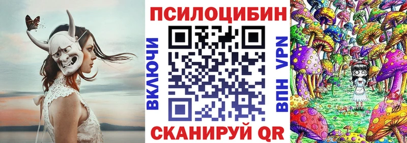 Купить  Курчалой  Галлюциногенные грибы Magic Shrooms 